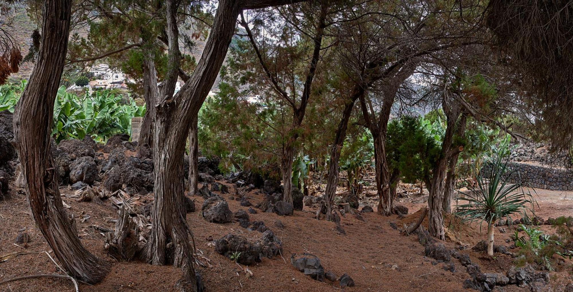 Las Sabinas Villa - El Guincho, Garachico Гарачико Экстерьер фото